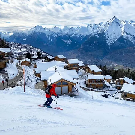 In Les Melezes Near Gondola